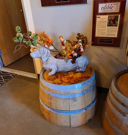 Phoenix Wedding Chapel